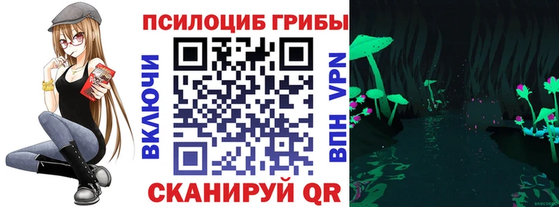 где купить наркотик  Междуреченск  Галлюциногенные грибы мицелий 